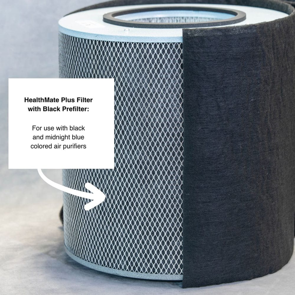 Austin Air Replacement HelathMate Plus Filter (HelathMate Plus) - FR450