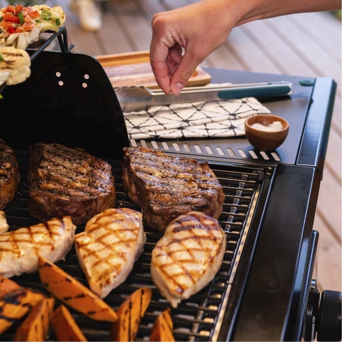 Char Broil Pro Series 2-Burner Gas Grill - Image 13