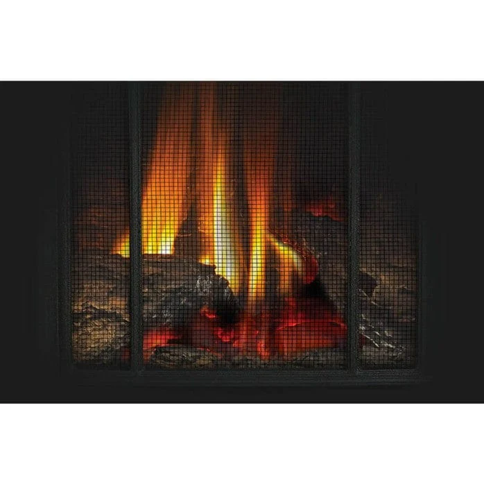 Napoleon Arlington Gas Stove (Electronic Ignition) - Image 4