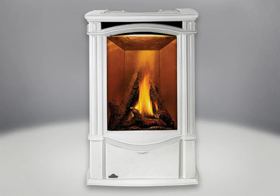 Napoleon Castlemore Gas Stove - Image 3