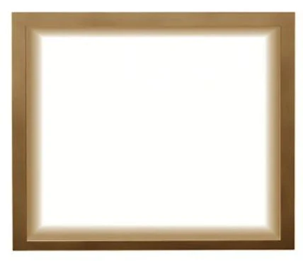 Napoleon Finish Trim (Altitude X AX42) - Image 3