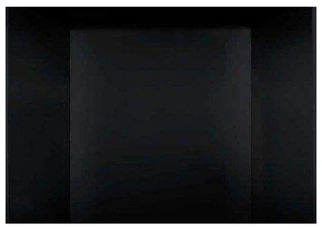 Napoleon MIRRO-FLAME Porcelain Reflective Radiant Panels (42") - PRPL42