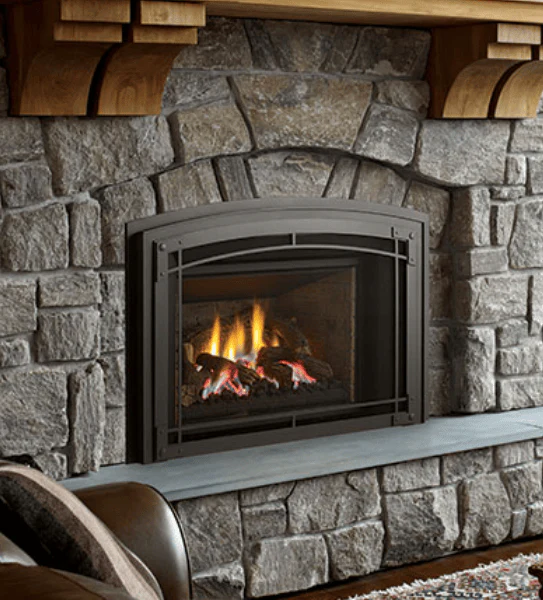 Regency Liberty LRI6E Gas Insert (C&H Package Special!)