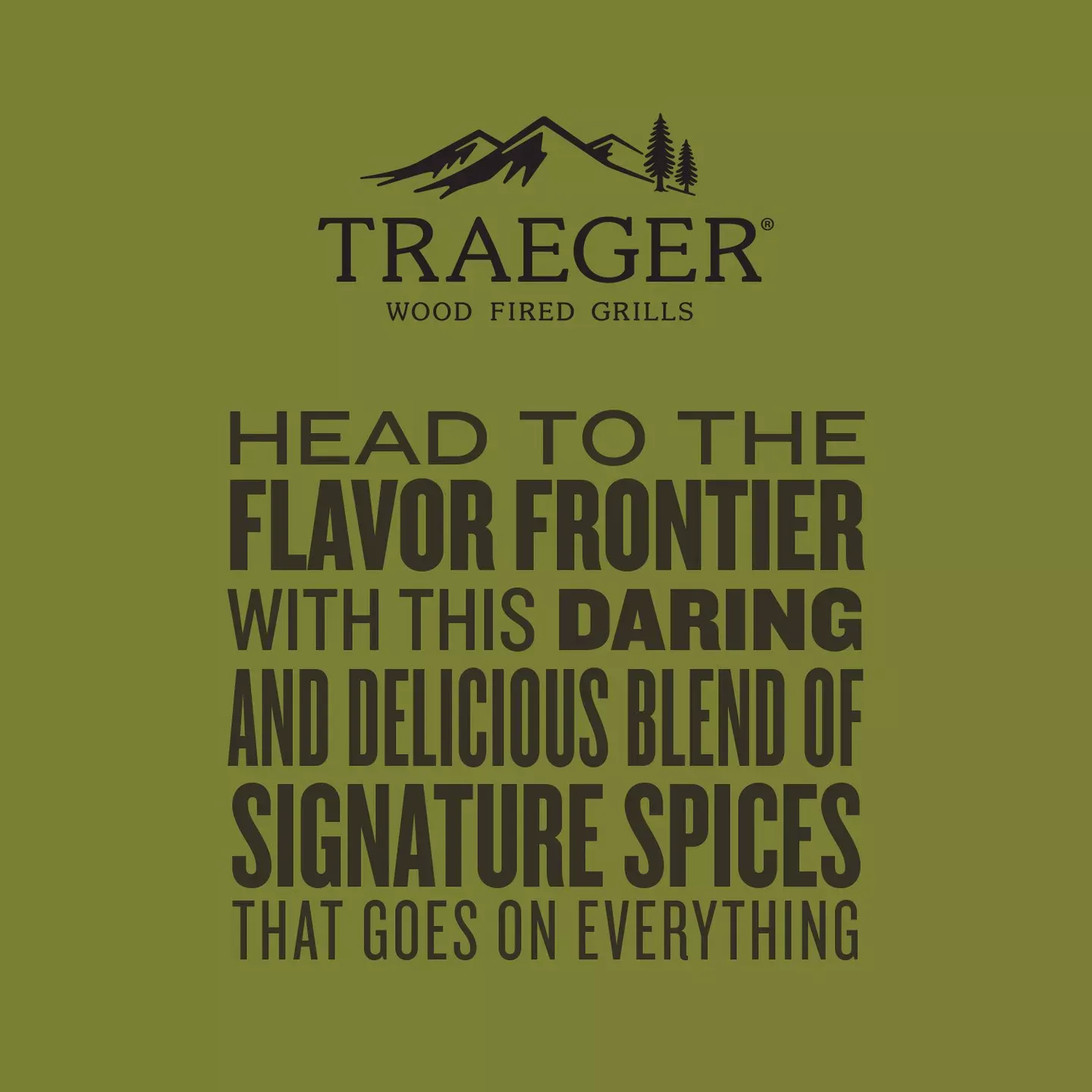 Traeger Blackened Saskatchewan Rub (12.5 OZ) - SPC288 - Image 6